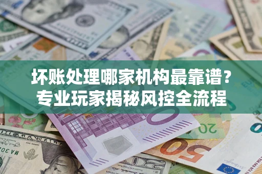 武汉坏账处理哪家机构最靠谱？专业玩家揭秘风控全流程