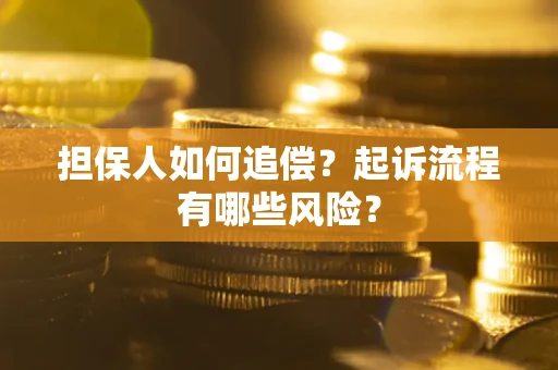 武汉担保人如何追偿？起诉流程有哪些风险？