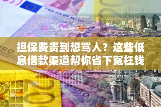 武汉担保费贵到想骂人？这些低息借款渠道帮你省下冤枉钱