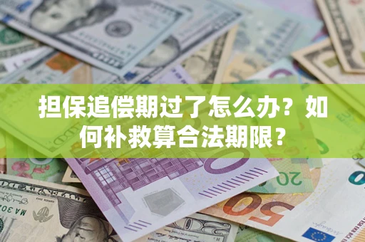 武汉担保追偿期过了怎么办？如何补救算合法期限？