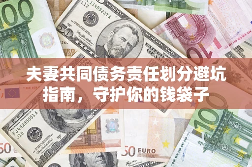 武汉夫妻共同债务责任划分避坑指南，守护你的钱袋子