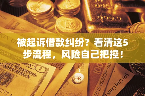 武汉被起诉借款纠纷？看清这5步流程，风险自己把控！