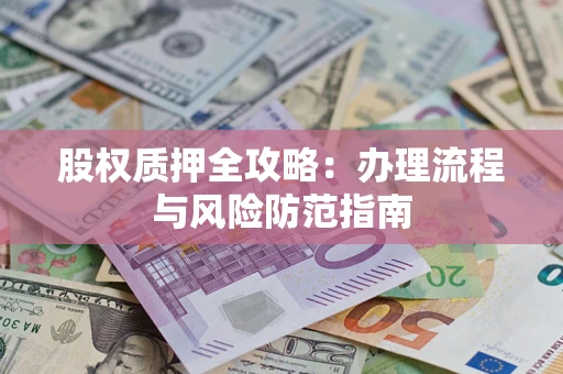 武汉股权质押全攻略：办理流程与风险防范指南